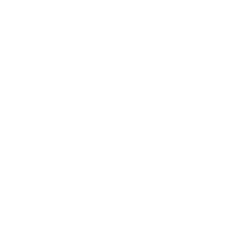 Image of the logo of Github